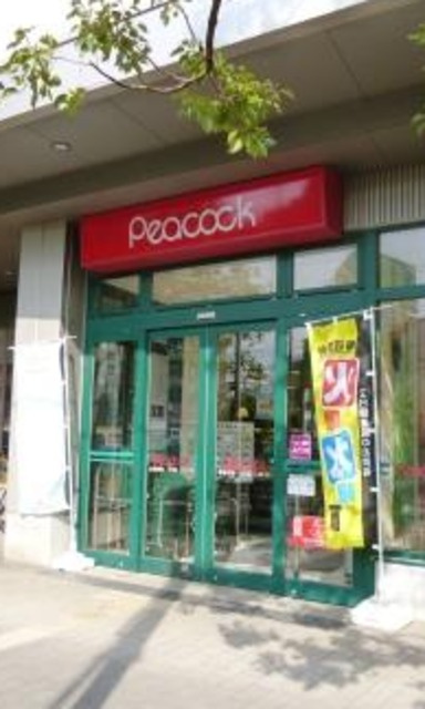 ＮＥＲＩＮＥ ＫＡＭＩＵＭＡのその他|ピーコックストア三軒茶屋の杜店