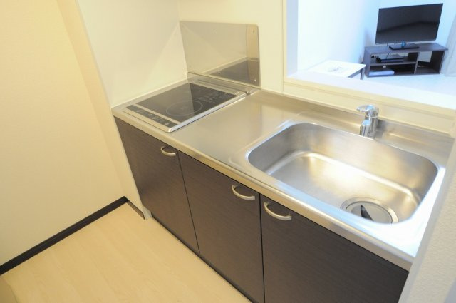 レオネクストマトレのキッチン