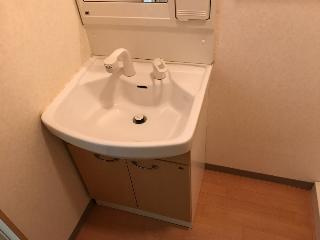 メゾンレフォルテの洗面所|洗面