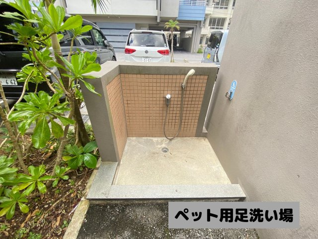 ミルコマンション松尾ビューの玄関