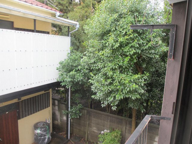 【展望】