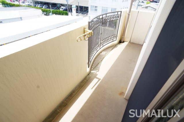 熊本市南区近見７丁目の賃貸マンションのバルコニー