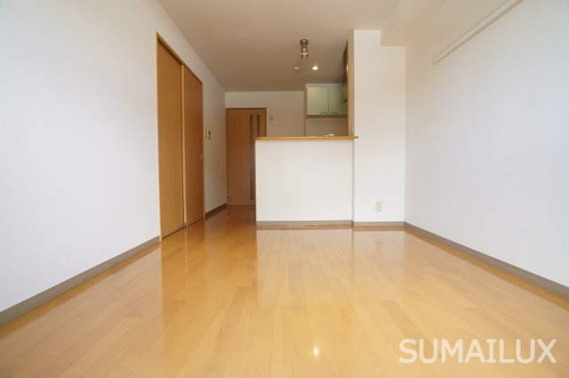 熊本市南区近見７丁目の賃貸マンションの居間・リビング