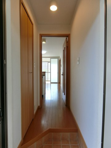 プラシードの内装