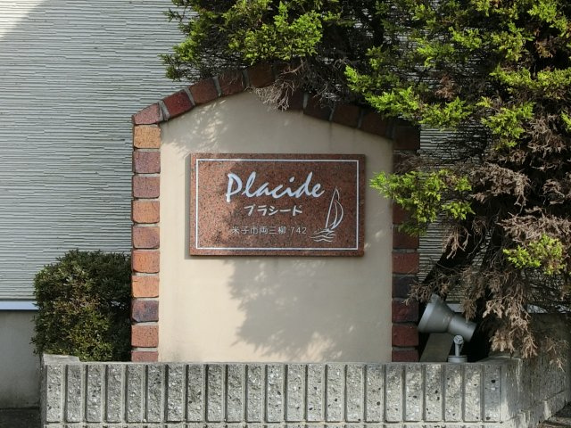 プラシードの周辺