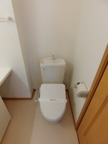 プラシードのトイレ