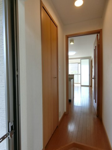 プラシードの収納