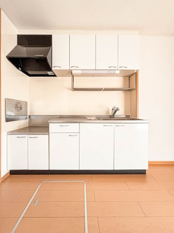 ヌーベル　ピアッツァⅠのキッチン