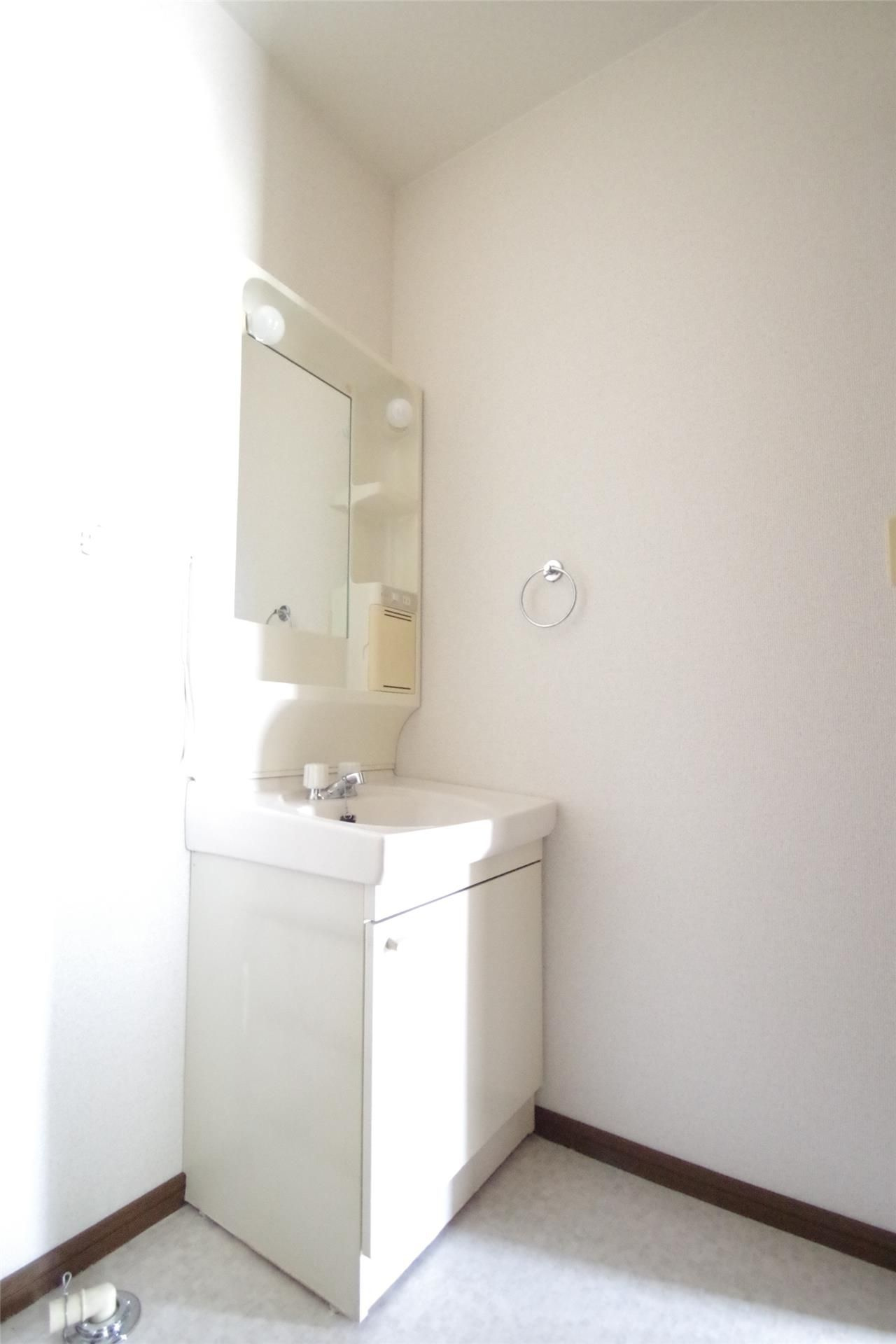 熊本市中央区十禅寺１丁目のアパートの洗面所