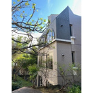 アルコすくもの画像