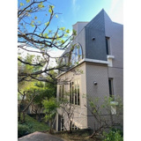 アルコすくもの画像