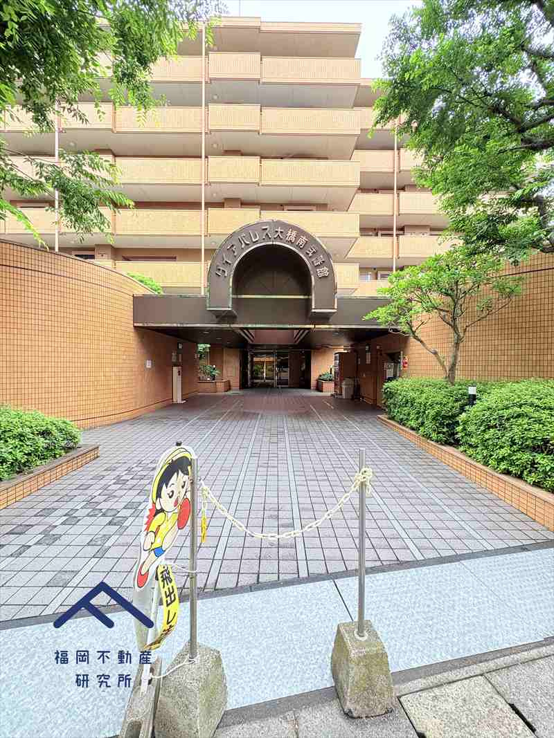 ダイアパレス大橋南弐番館のエントランス