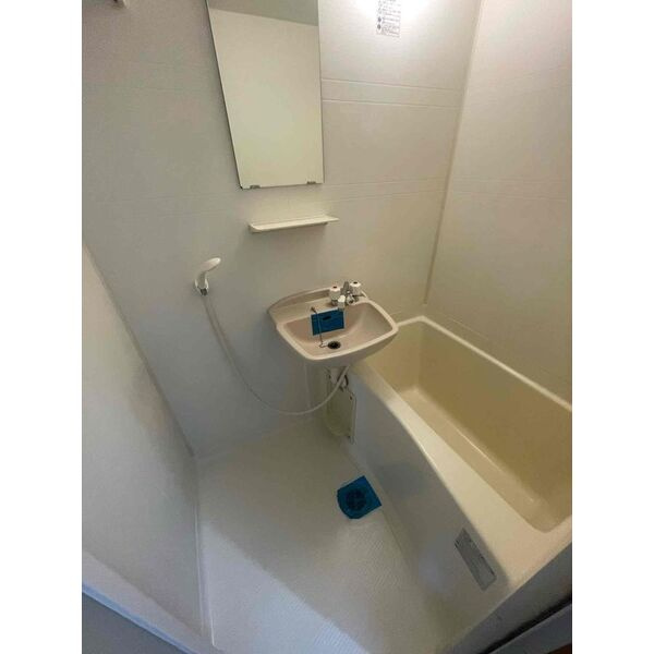 メゾン ド トリアノン　名古屋市賃貸　仲介手数料無料の洗面所