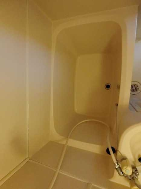 フラッグスドミトリー　駅近　最上階　敷金礼金0の浴室