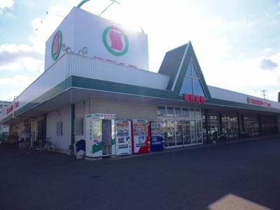 【周辺】 | ニューシティー馬場 | 新鮮市場まで500m