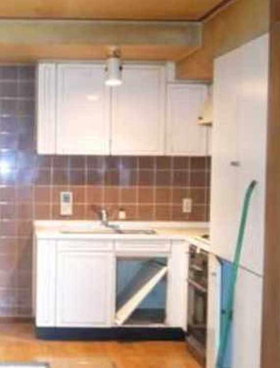 ドミナーレサクマ　パイク無料　SOHO使用可　専用庭のキッチン