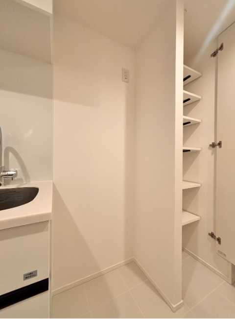 ReveResidence三軒茶屋　ペット相談　新築　デザイナーズ　角部屋の収納