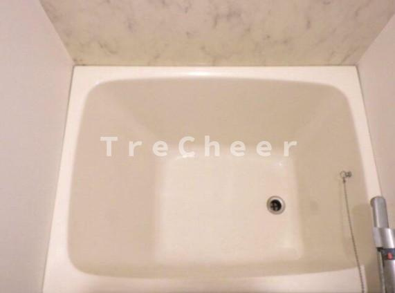 メゾンドシエルファイヴ(Maison de CiEL Ⅴ)の浴室