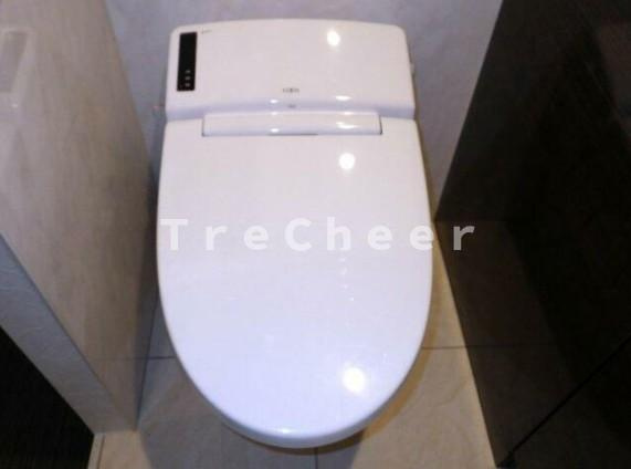 メゾンドシエルファイヴ(Maison de CiEL Ⅴ)のトイレ