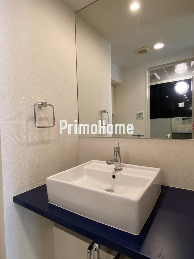 アクサス大手町ラクシーズの洗面所