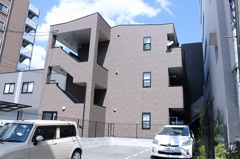 アンプルールフェールシバタの画像