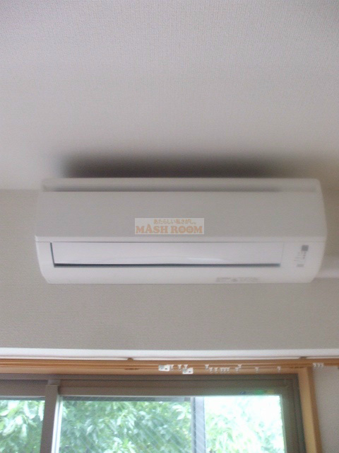 ヴィーアセッテ