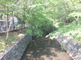 【周辺】 | 立川市柏町4丁目　新築戸建　【全8棟】 | 玉川上水緑道
春には桜が楽しめます。