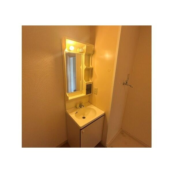 EVAHⅡの独立洗面台