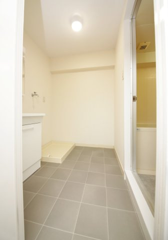 Maison Sakaeの洗面所