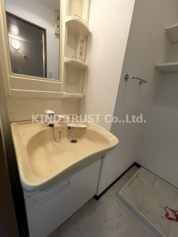 ビガーポリス101扇町の洗面所