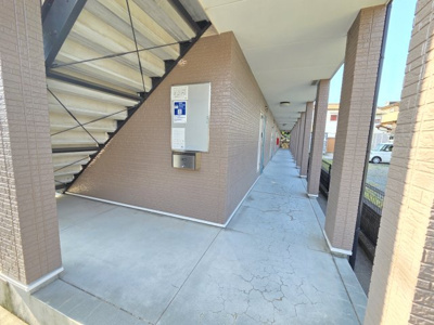 【エントランス】 | カモミールコート