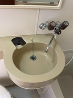 参考写真です