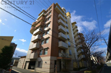 パレ北武庫之荘Ⅲの画像