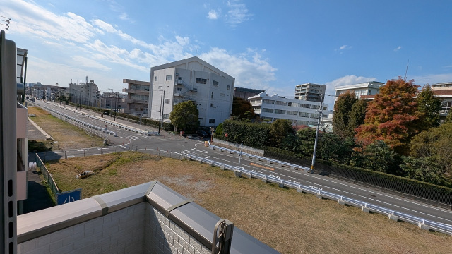 ロータスハイムの展望