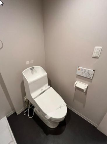 ビレッタ新小岩(ビレッタシンコイワ)のトイレ