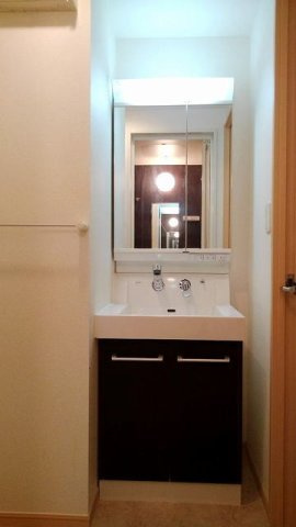 エトワール衣掛の洗面所