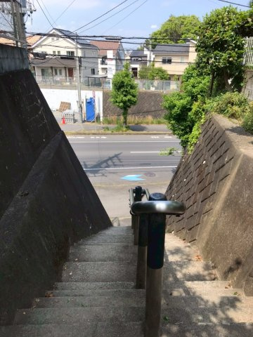 グリーンサイドハウスの展望