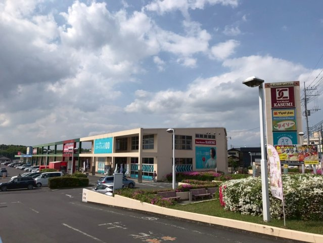 グリーンサイドハウスの周辺|千波ショッピングプラザまで車で５分♪