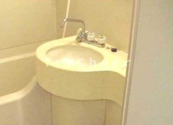 ライオンズマンション九段第二の洗面所