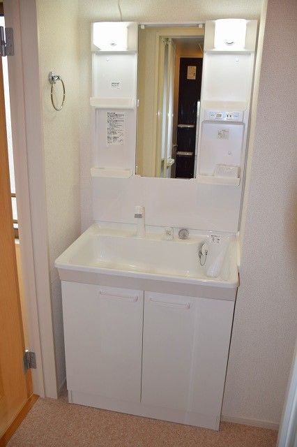 グレイト　アムールの洗面所