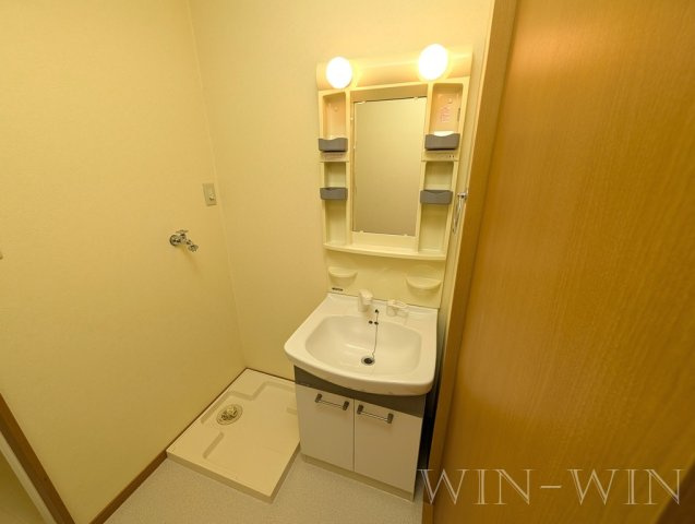 リバーウエスト 壱番館の独立洗面台