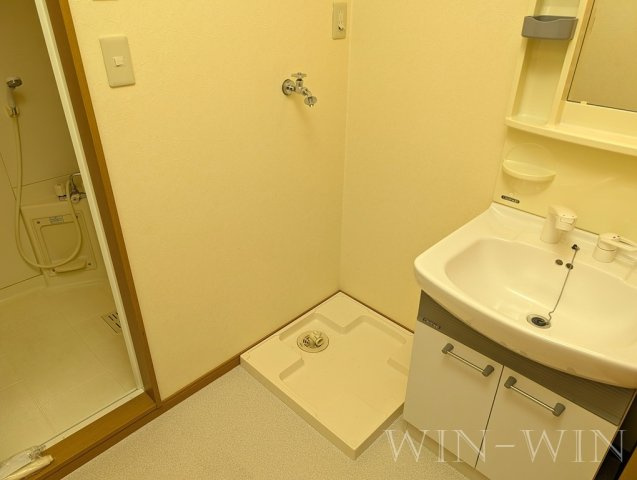 リバーウエスト 壱番館の洗面所