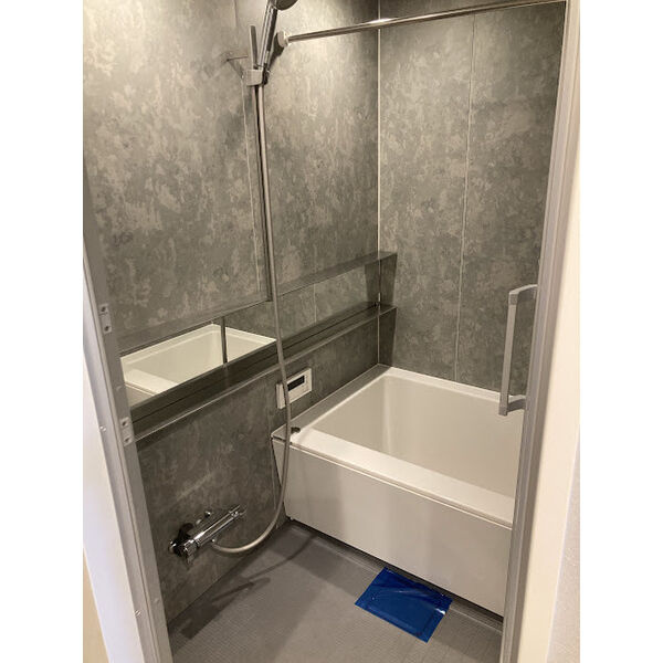 メゾン・ド・ヴィオレットの浴室