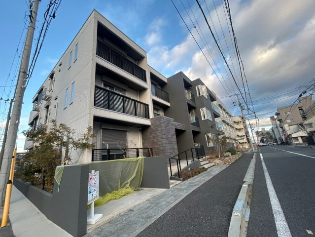 D-grace Wisteria AKASHI