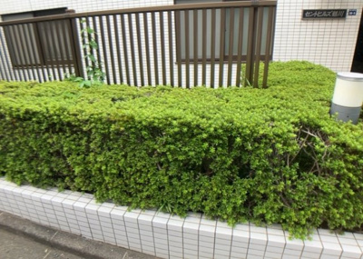 【庭】 | セントヒルズ鶴川 | 物件によっては、入居者が個人的に使用できる専用庭がついているものもあります。また、住宅の中にある土間の部分を庭と呼ぶこともあります。庭の用途は住む人によって変わり、それによってデザインもさまざまです。