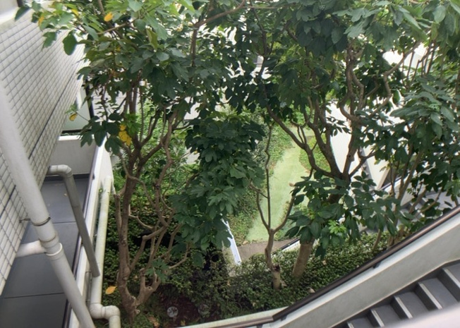 【中庭】 | セントヒルズ鶴川 | 中庭（パティオ）とは、一つの建築物の内部に設けられた、壁などで囲われている庭のことを指します。コの字型、ロの字型が主流ですが、L字型の中庭もあります。最近では、インテリア性の高さからも人気があります。