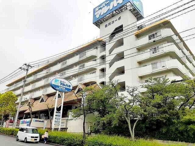 ラッフィナート・カーサ壱番館の周辺|スーパーマルハチ落合店まで1100m