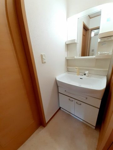 ラッフィナート・カーサ壱番館の洗面所