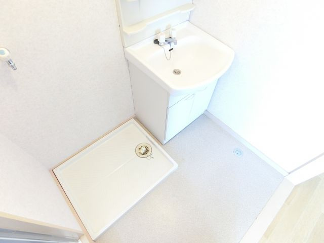 金剛東マンションの洗面所