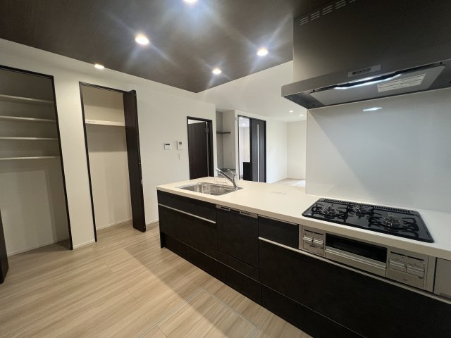 町名からして何だか静かそう…その名の通りの閑静な立地【緑区竹山１丁目】新築戸建のキッチン|使いやすいキッチンです